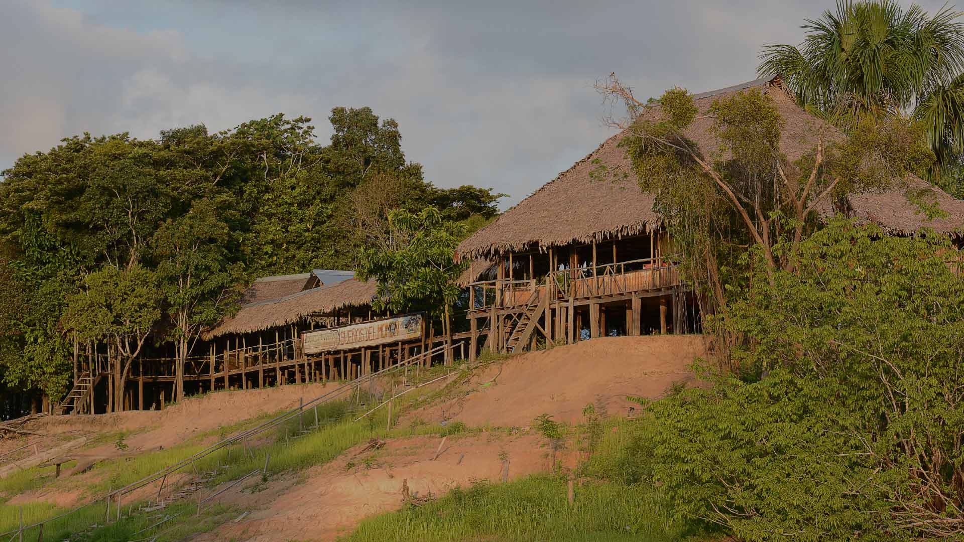 Centro de Rescate Amazonico-Crea