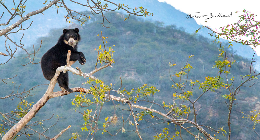 Reserva Ecológica Chaparrí