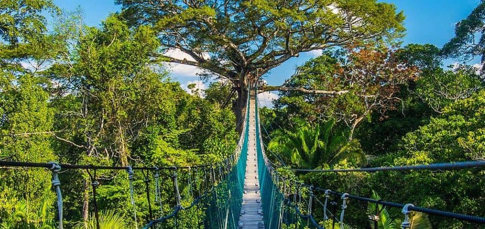 Reserva Nacional Tambopata