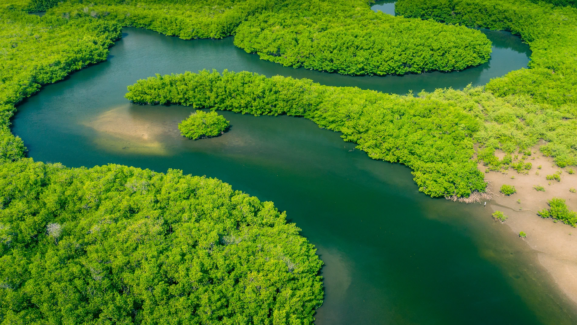 Rio Amazonas