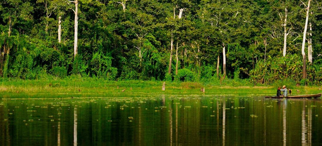 Parque Nacional del Manu