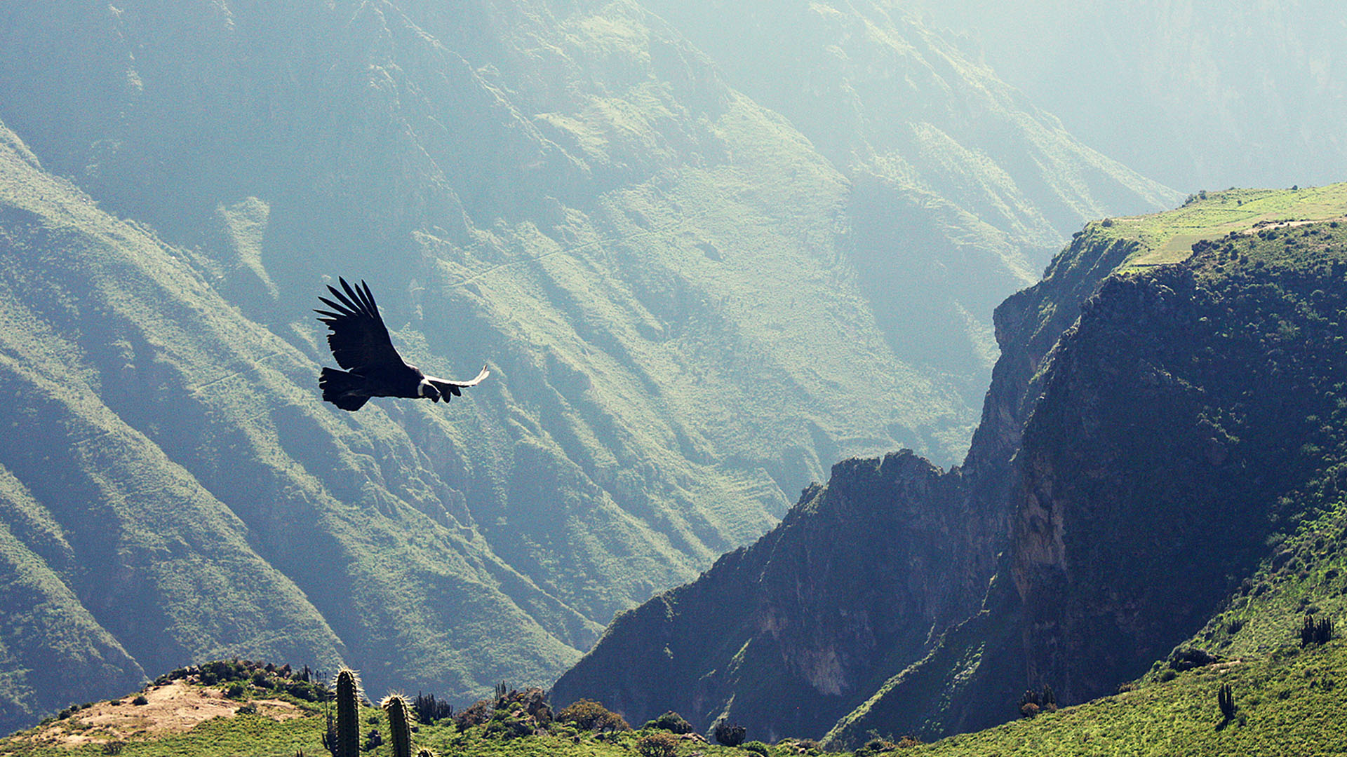 Cañon del Colca